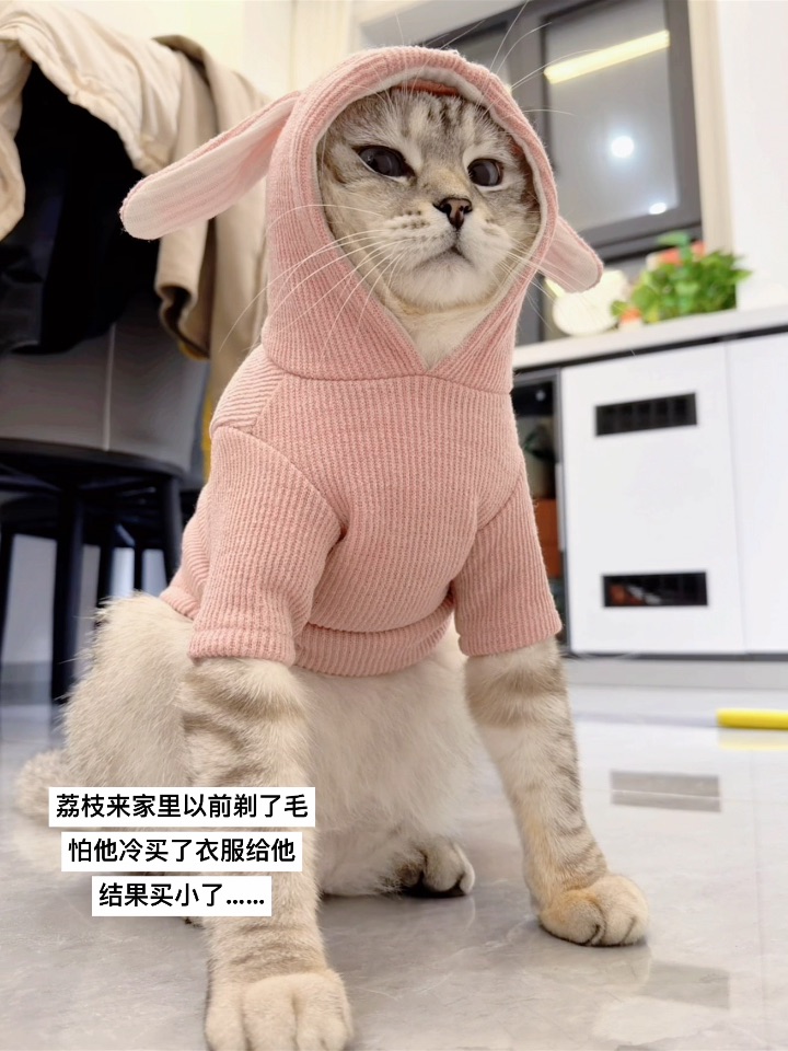孩子生气了怎么办？挺急的