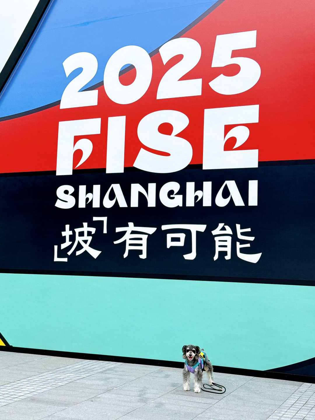 西五街