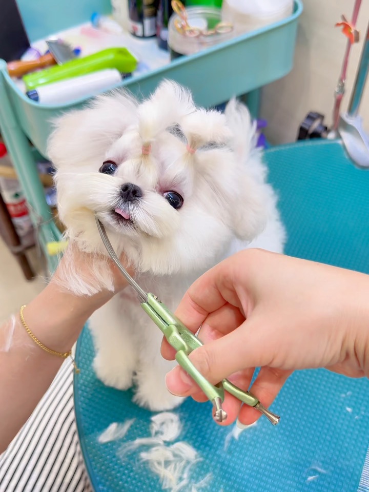 拜托拜托～请你一定要爱上我这个绝世小甜心