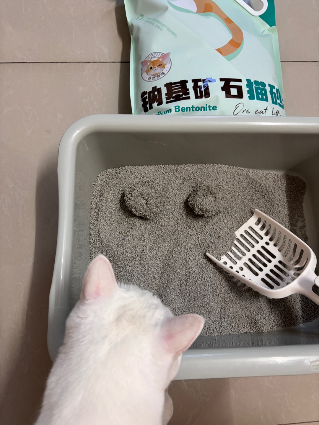 10.27钠基矿石猫砂10斤