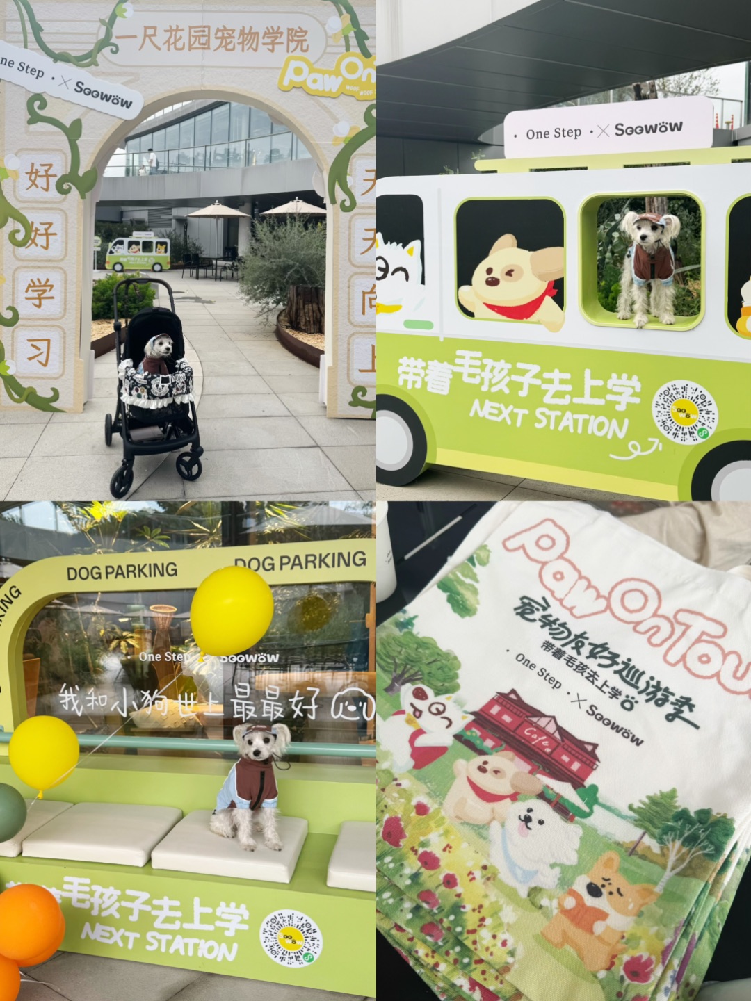 遛娃不如遛狗！一尺花园“小狗上学”萌翻前滩🌿🐕