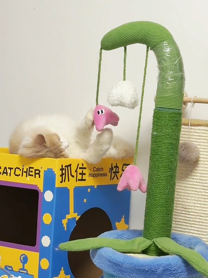 自己也可以玩的很开心呢