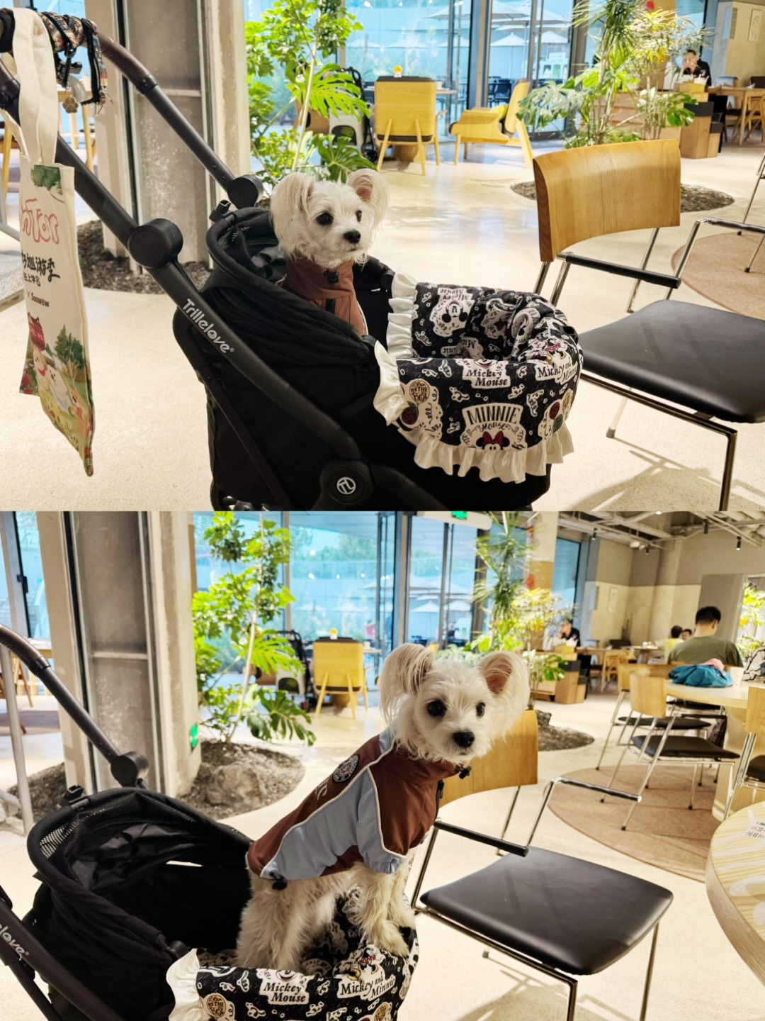 西五街