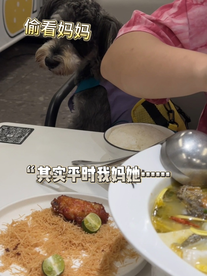 真的不给我小狗我吃一口嘛