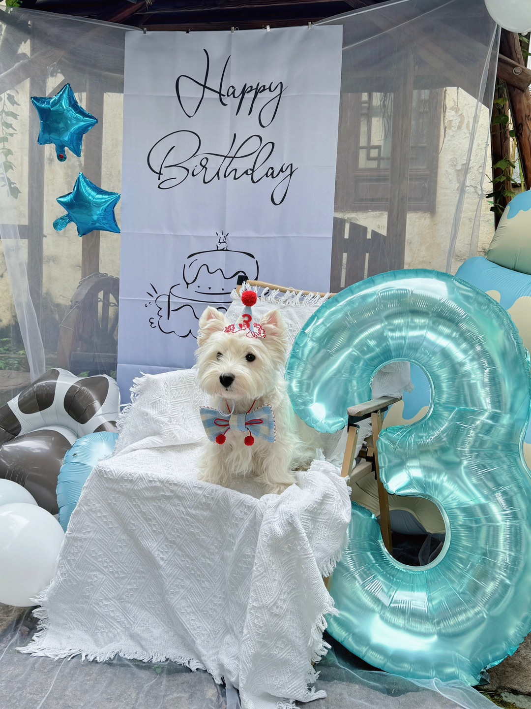 让我们祝小狗3️⃣岁生日快乐！🎂