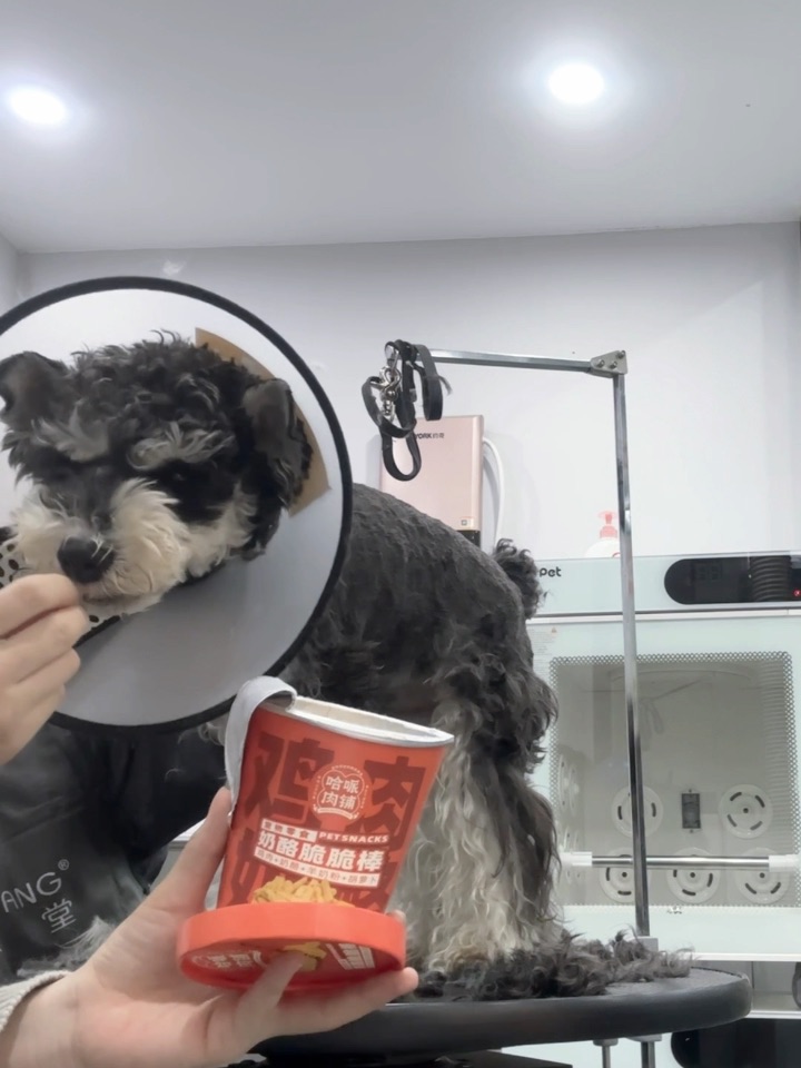 小狗不嘻嘻