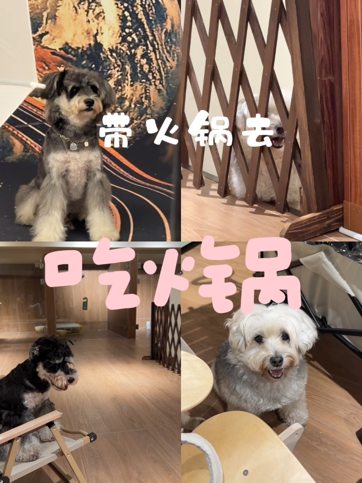 带着火锅去吃火锅