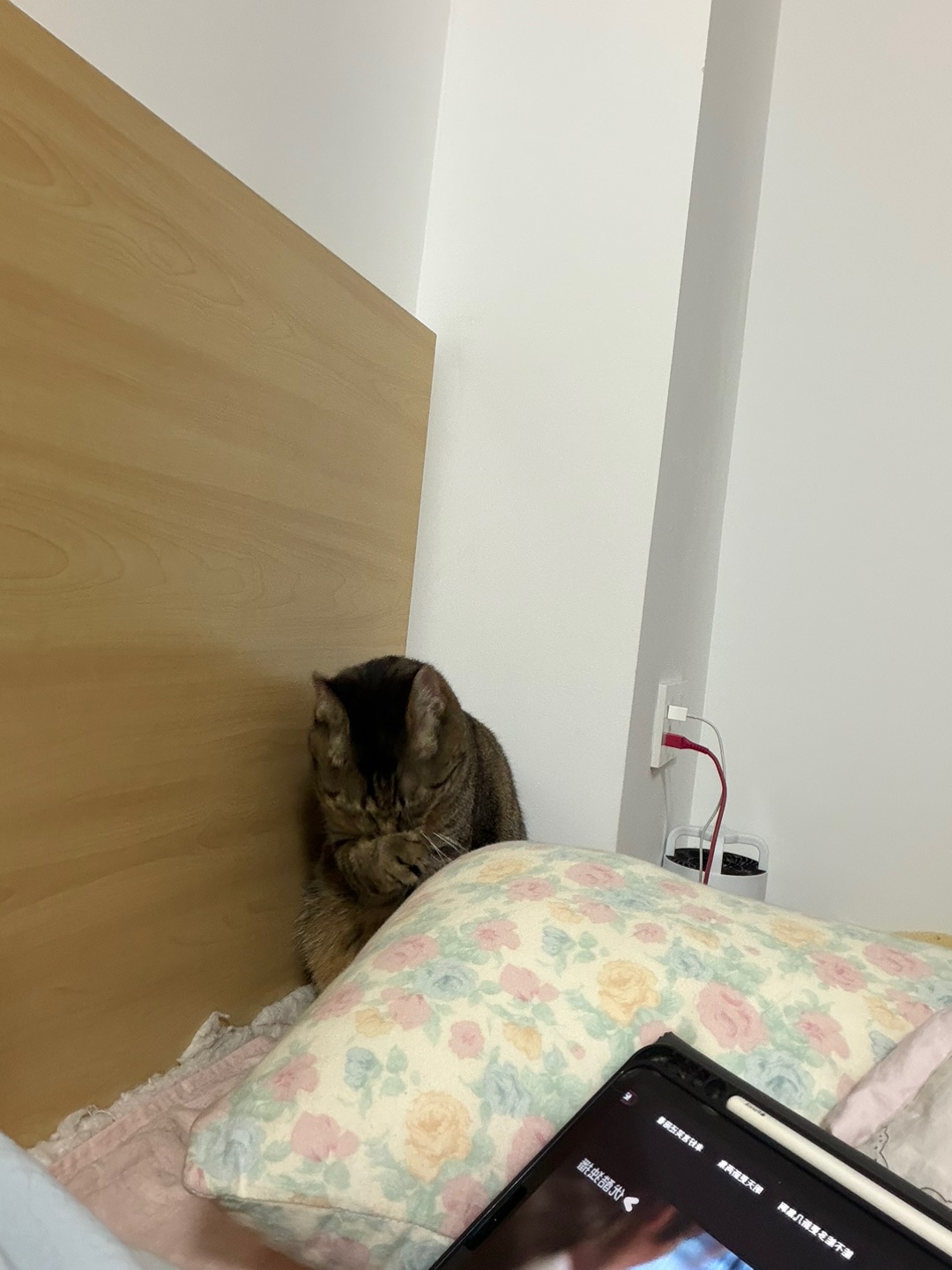 害羞