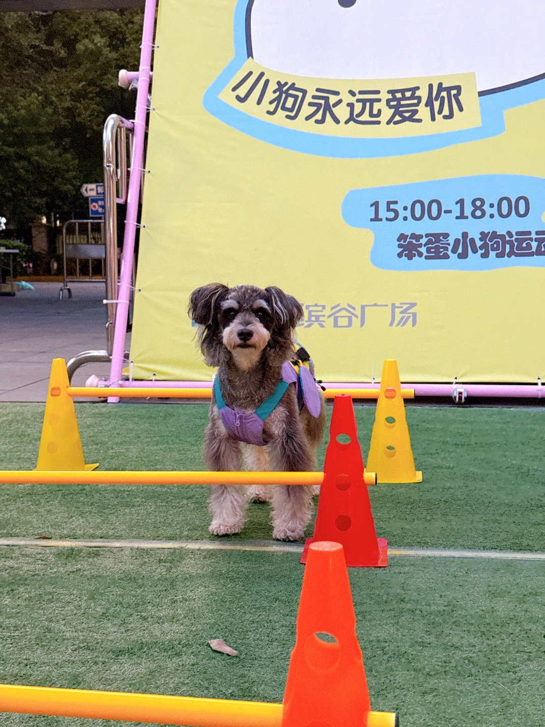 西五街