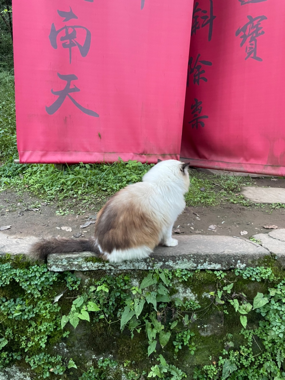 西五街