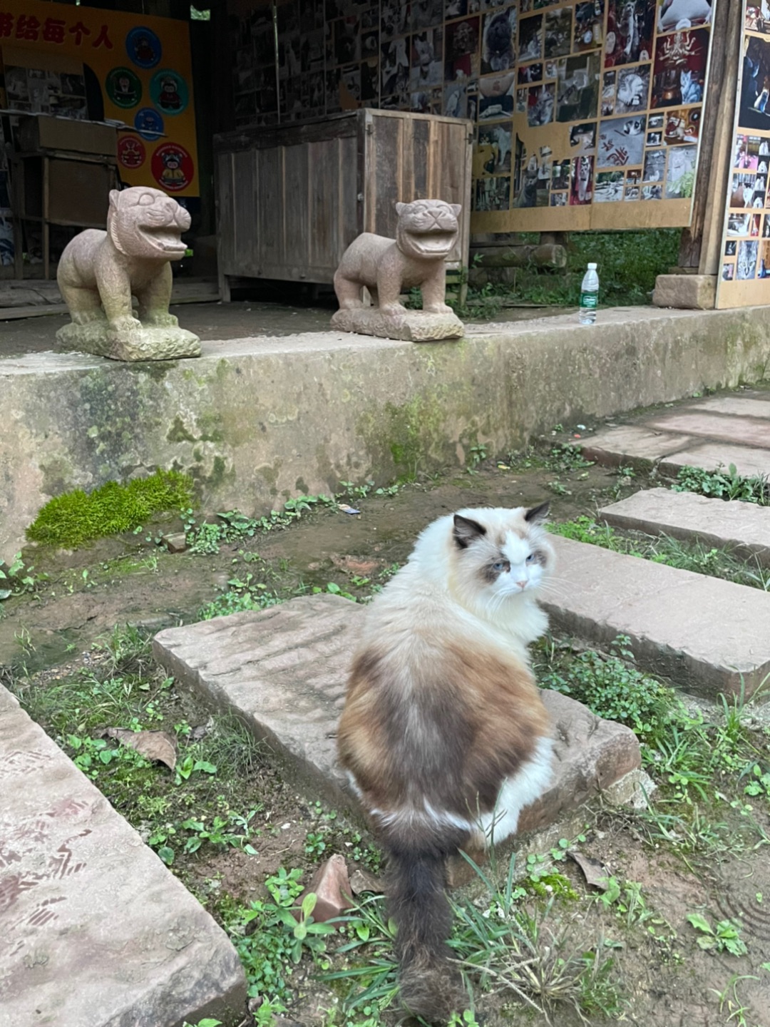 西五街