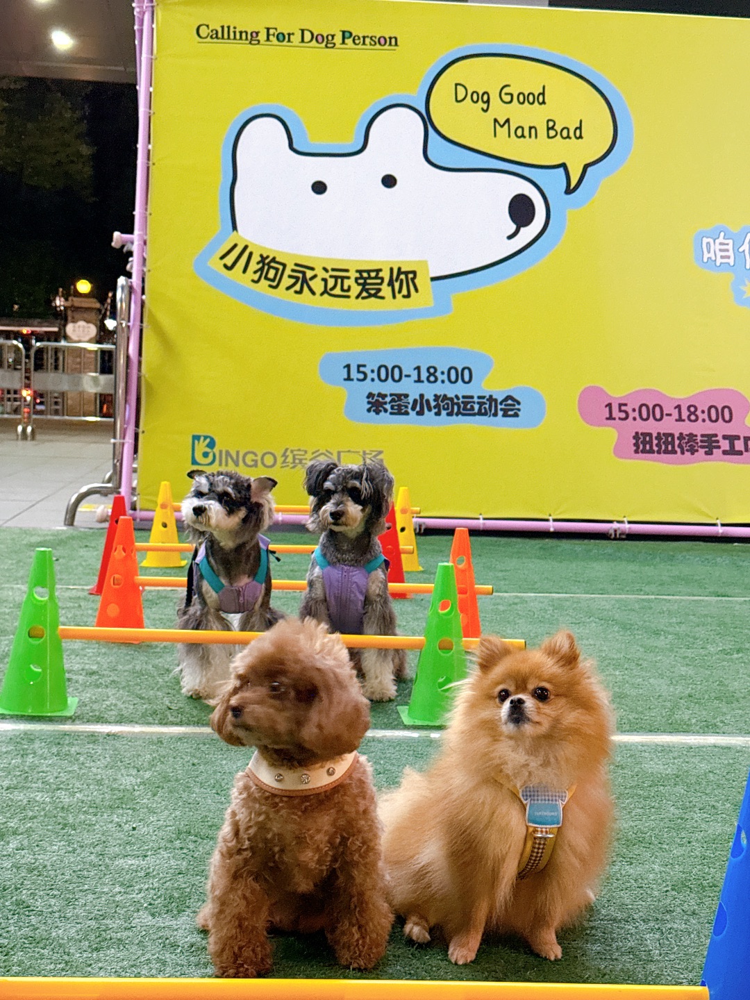 汪汪队开大会