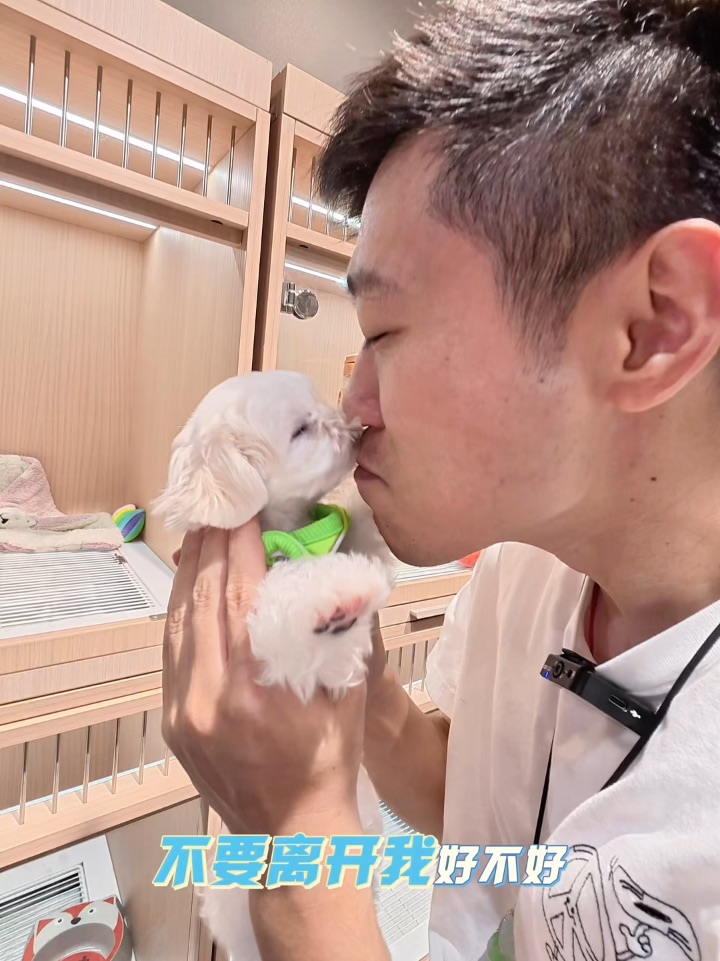 我宣布品鉴小狗的最佳方式就是——疯狂亲亲💋