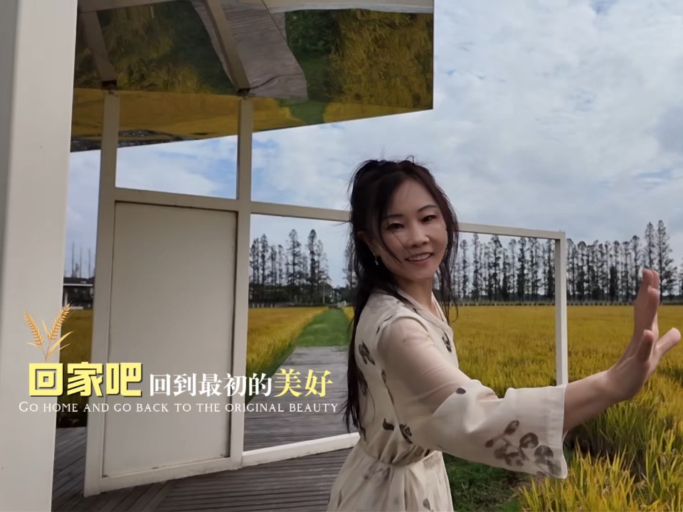 稻香｜🌾回到小时候吧，比较简单的时光。 #欢聚吴江潮起东太