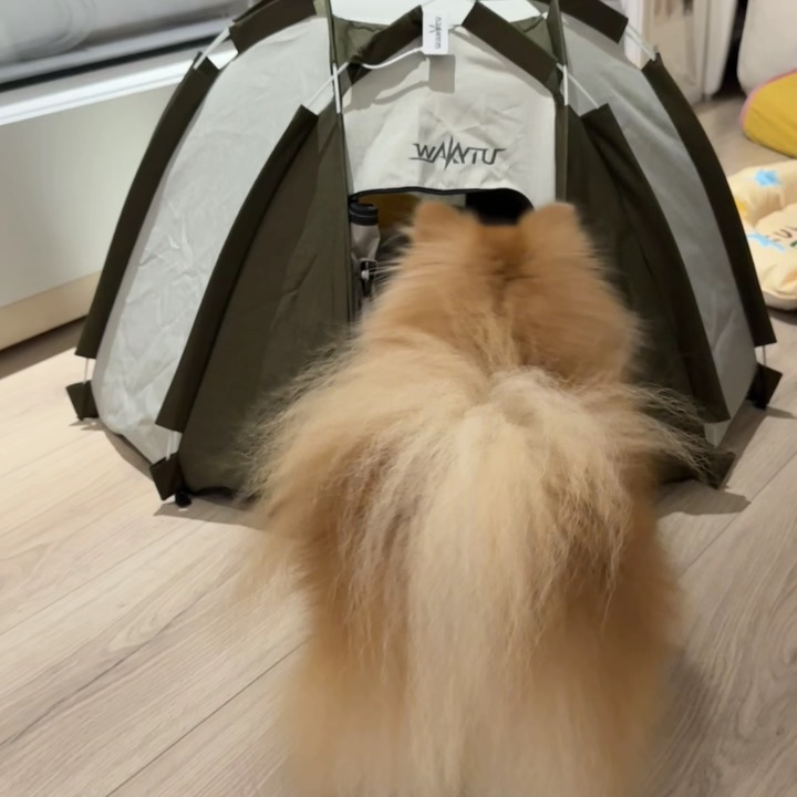 玩具掉进去了谁来帮小抖拿一下