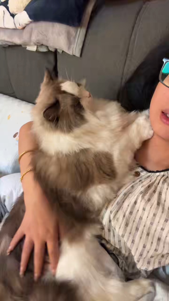 看一下我们健壮的胖胖酱～ 比舅妈上半身还长的傻大个哈哈哈哈哈  ᖰ⌯'▾'⌯ᖳ