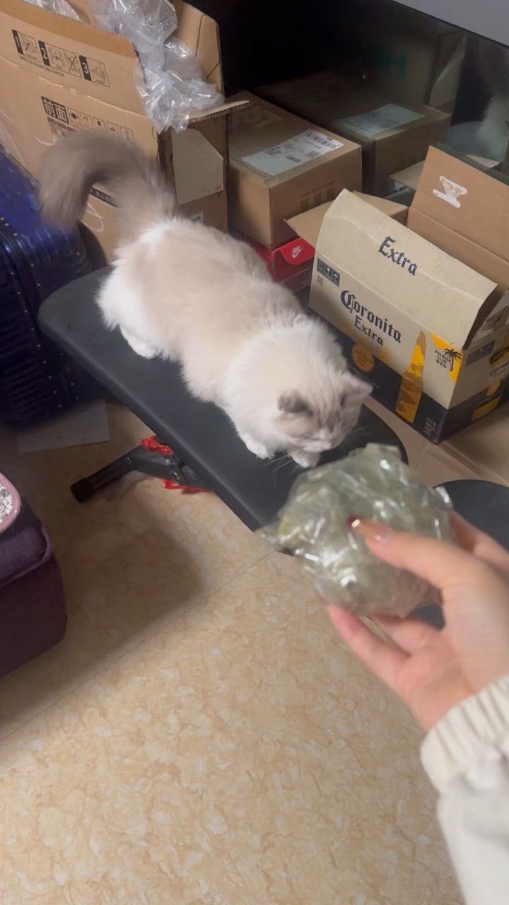 妈妈陪宝宝玩，宝宝很敷衍的糊弄了一下妈妈呀哈哈哈✌︎˶╹ꇴ╹˶✌︎