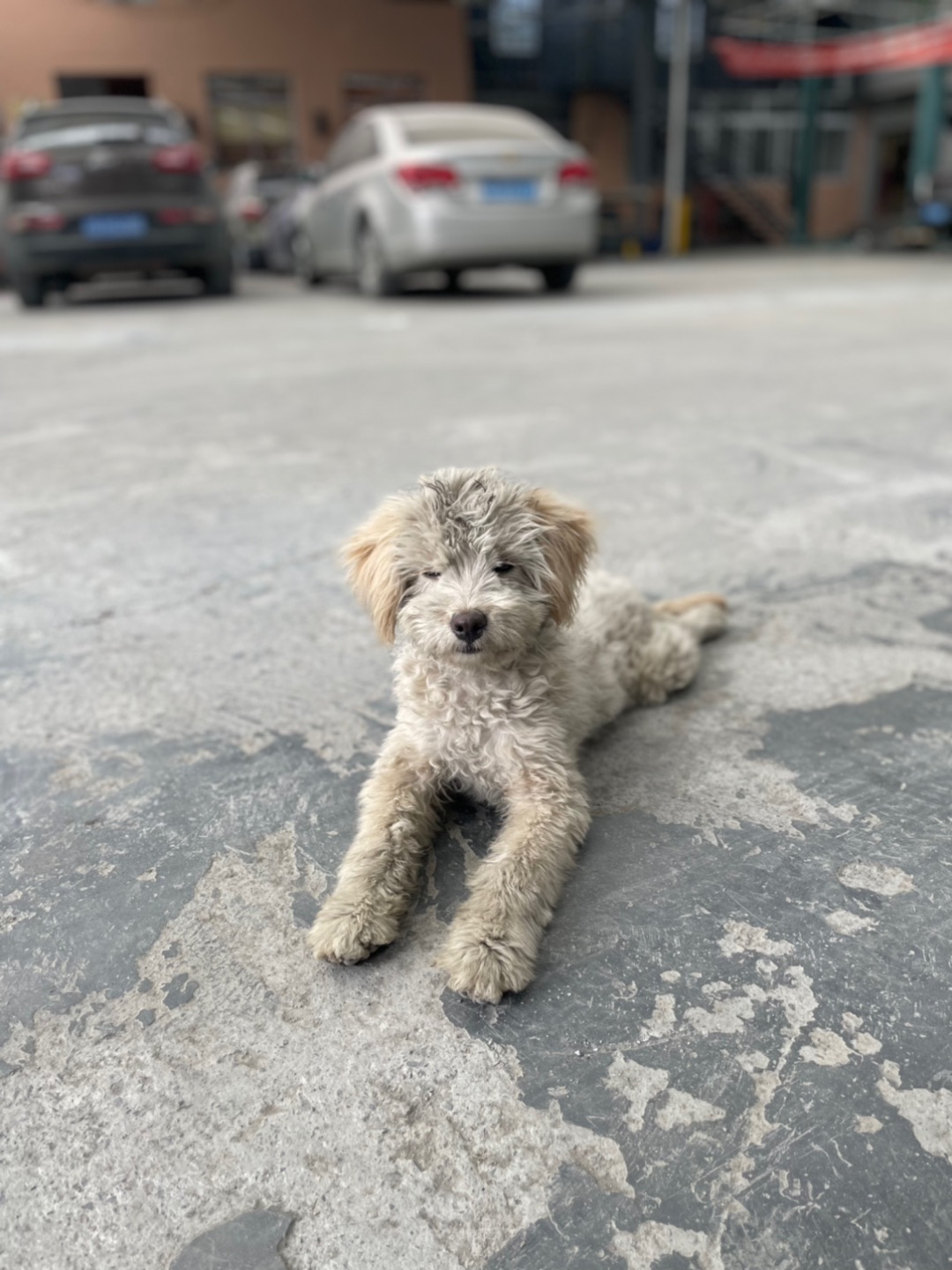 汽修厂的修勾