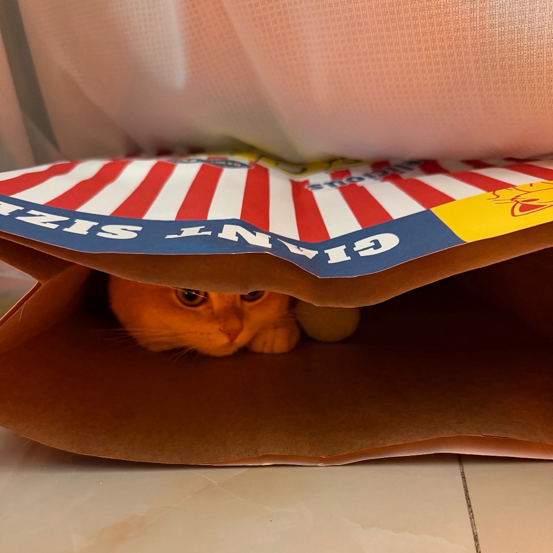 猜猜我在哪!嘻嘻😳