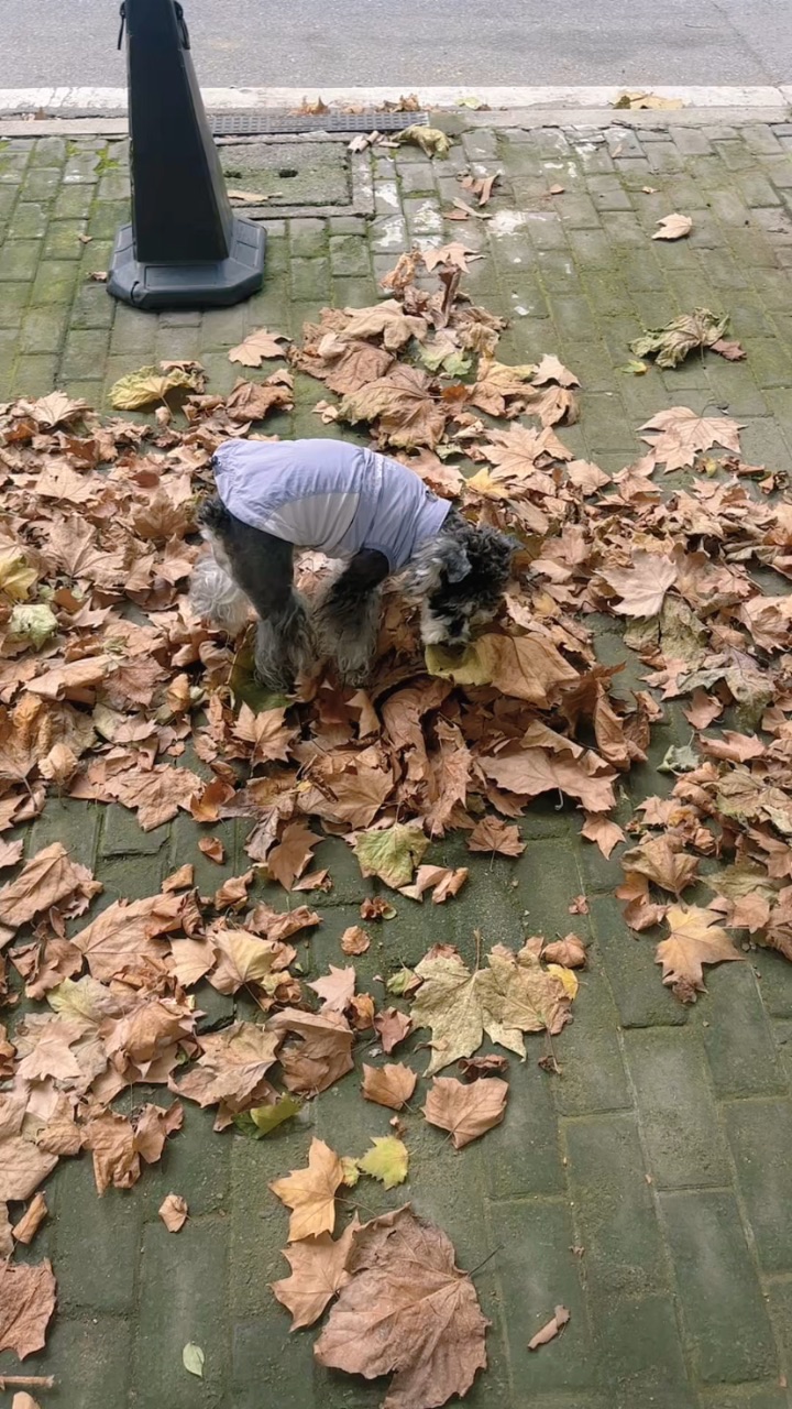 又到了火锅喜欢的季节