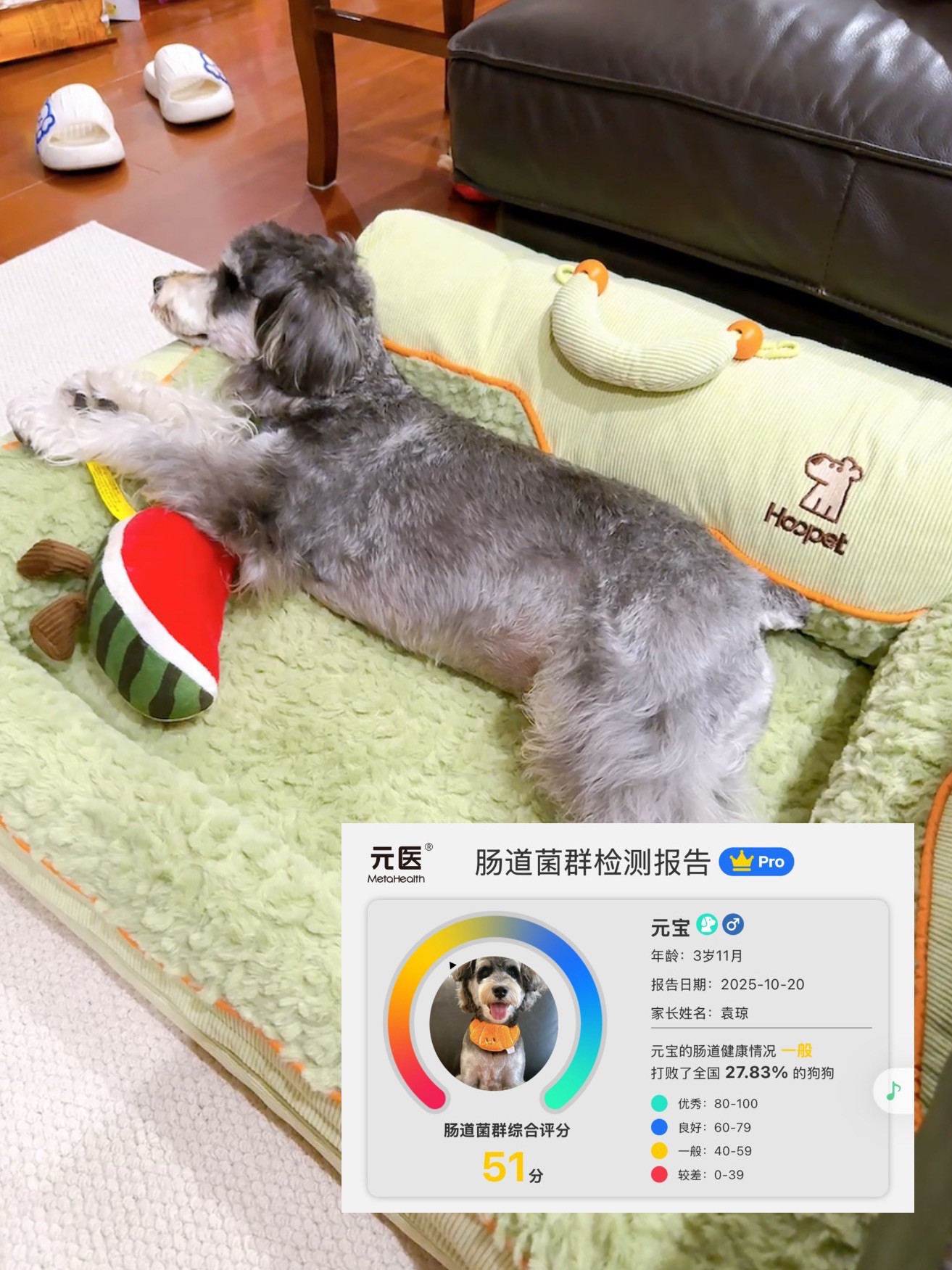 我一直以为我把我的小狗养的很好