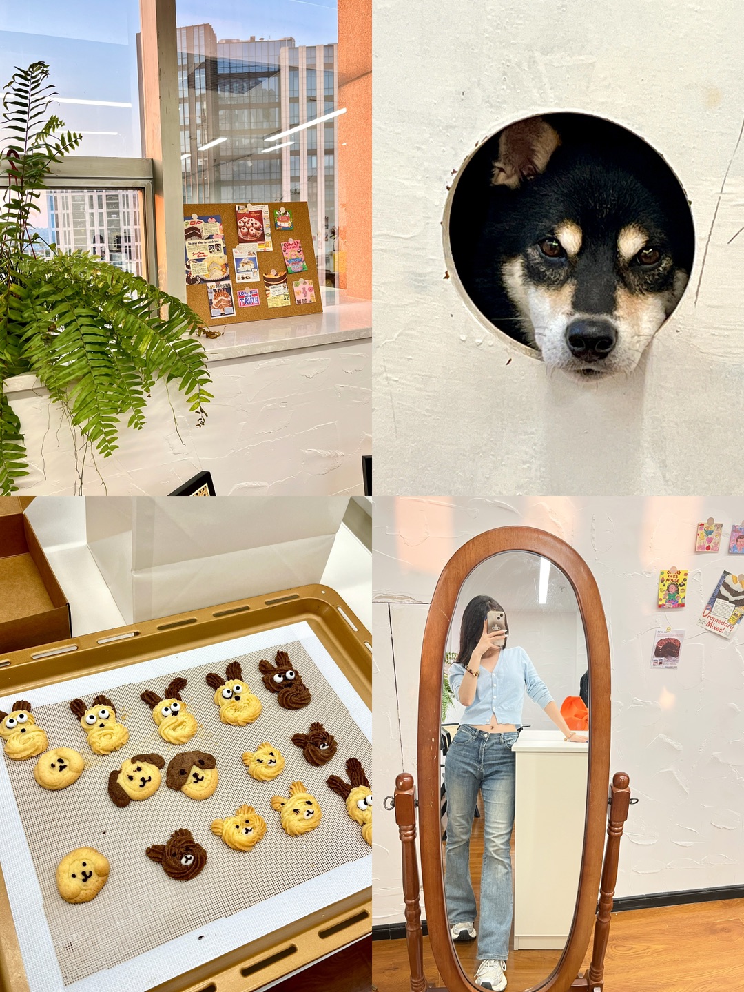 烘焙店主一日饼干diy体验🍪