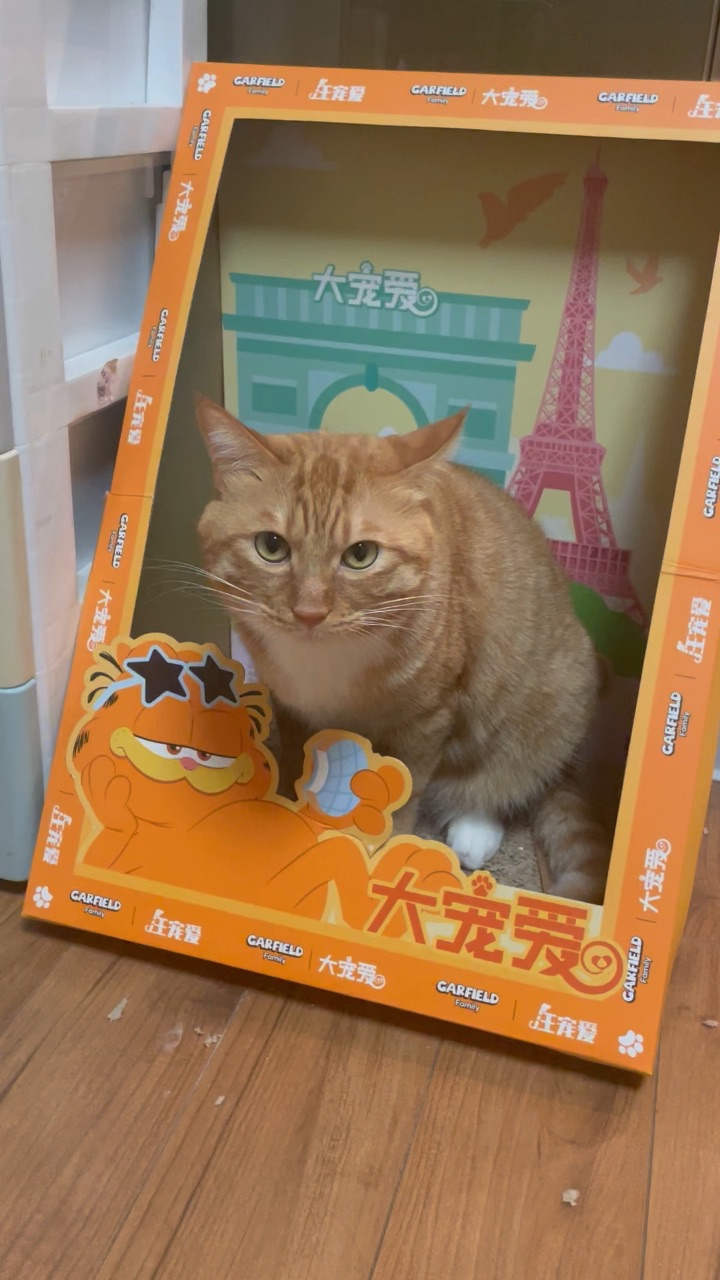 好像骂的很脏
