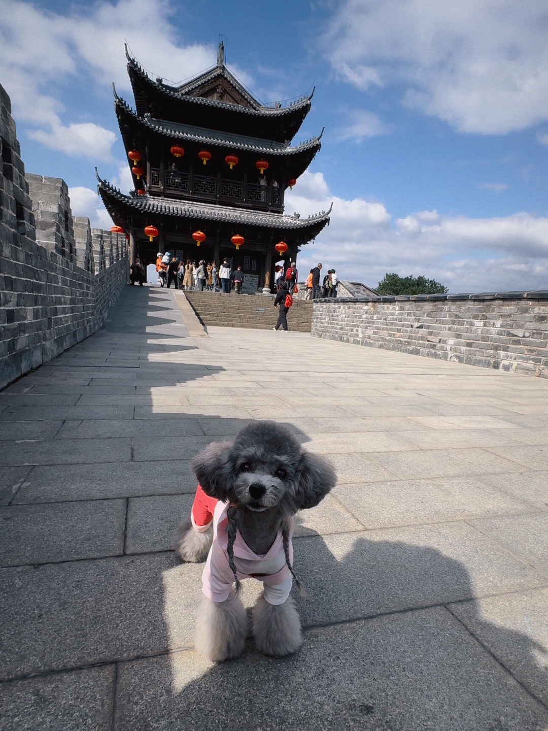 西五街