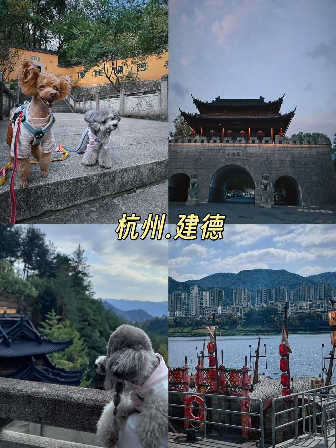 带狗自驾出游|建德全攻略给我码住