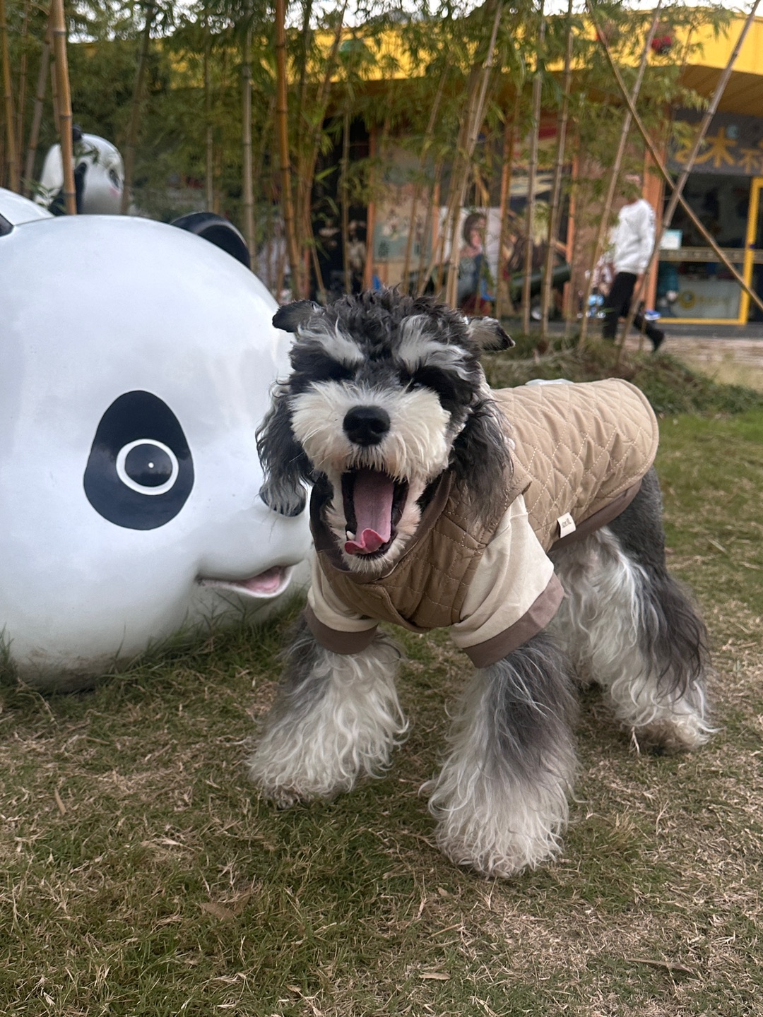 我妈说带我来逛动物园