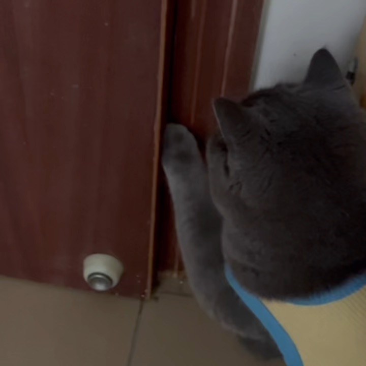 自己吓自己