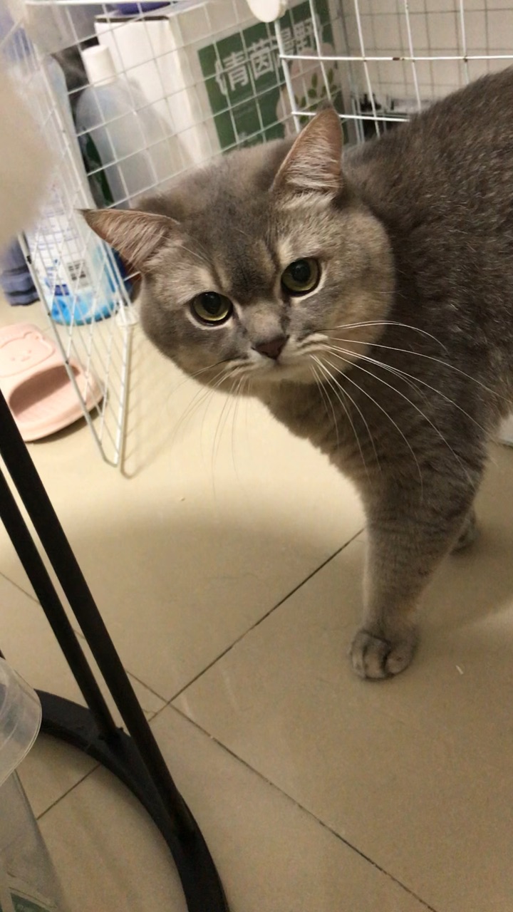想玩~ o(* ̄▽ ̄*)ブ