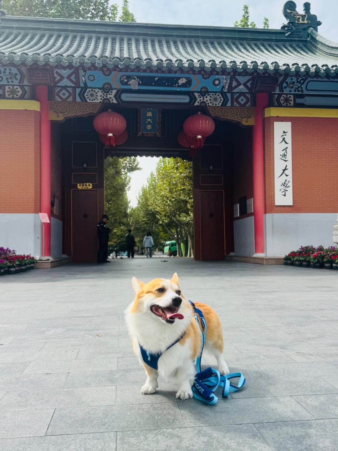 西五街