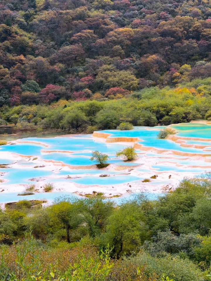 去黄龙的人嘴真严！！不过，风景真的绝美……