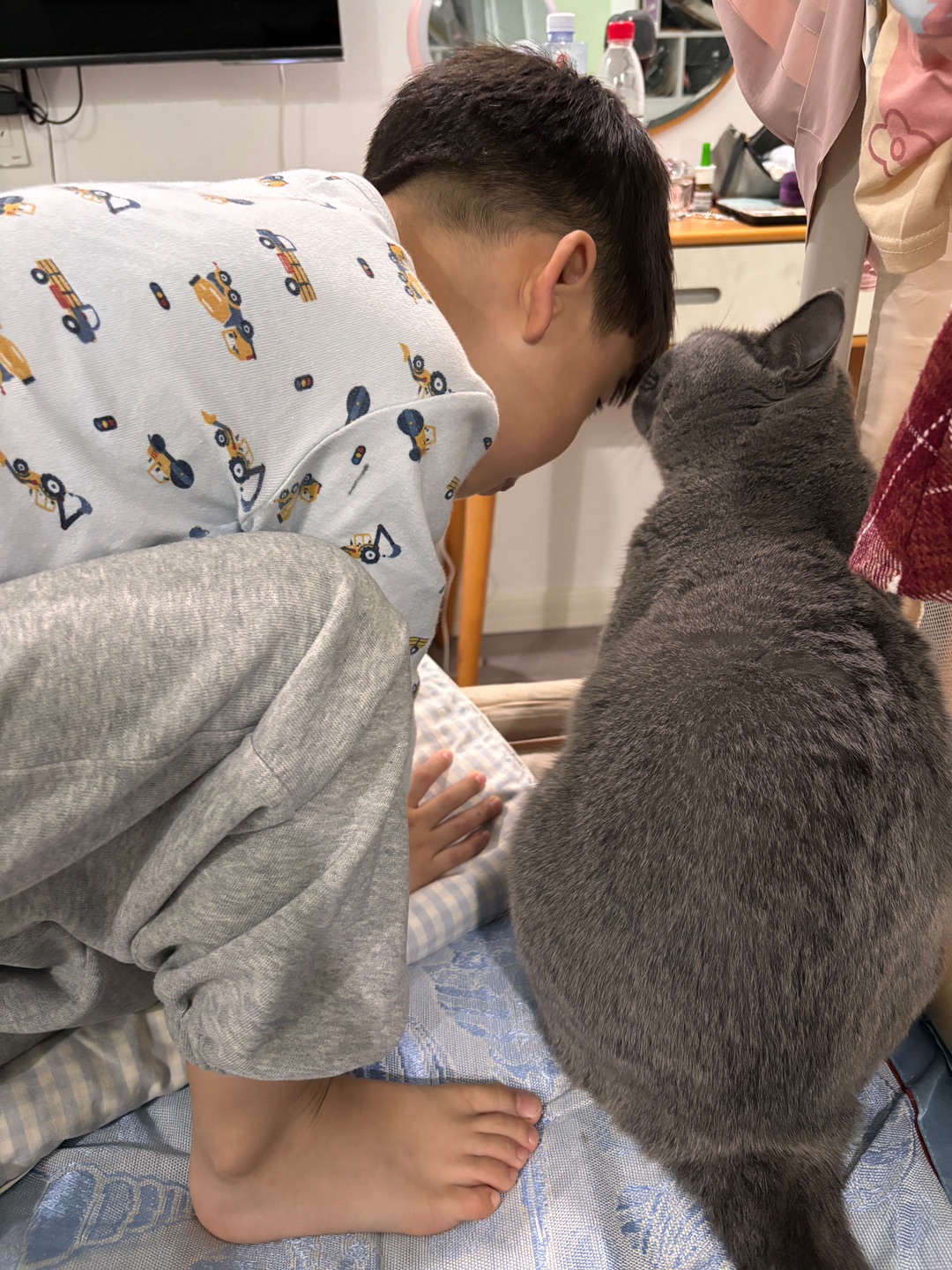人猫和谐相处