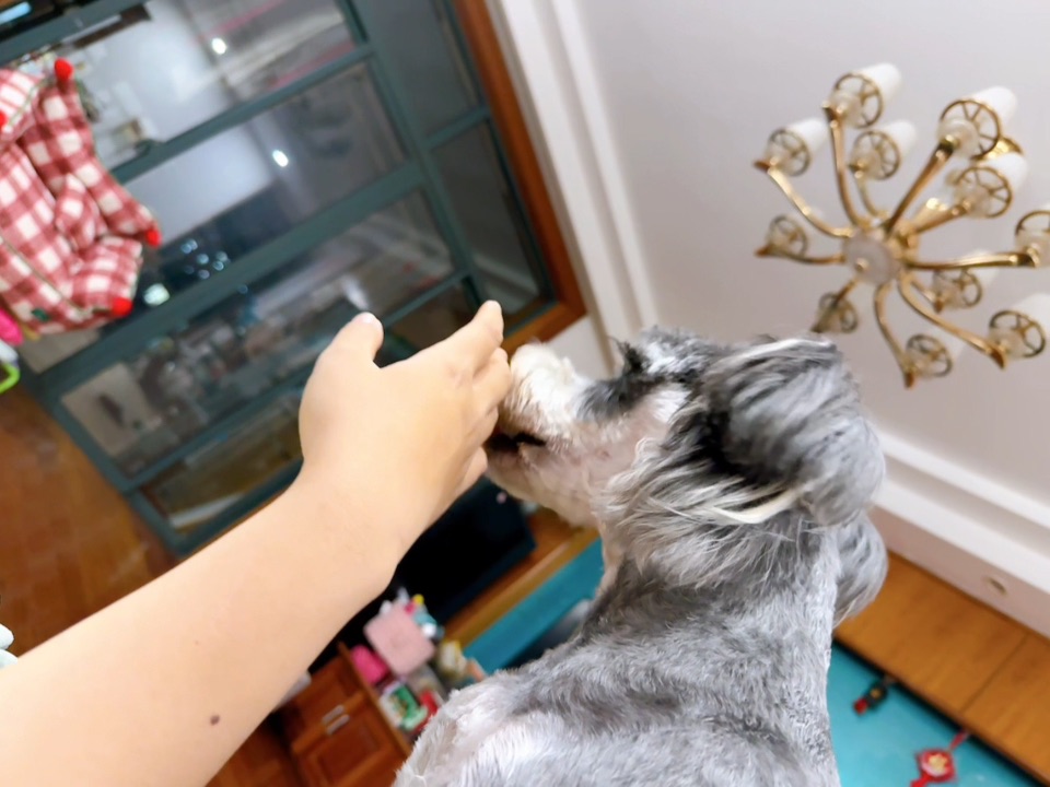 这手不能要了凑凑滴