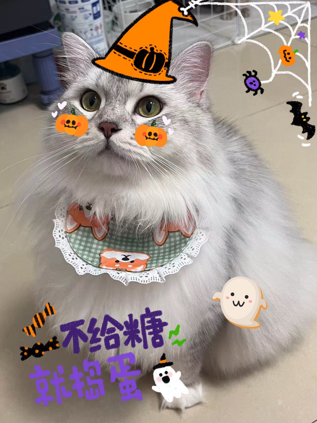 捣蛋鬼来袭👻