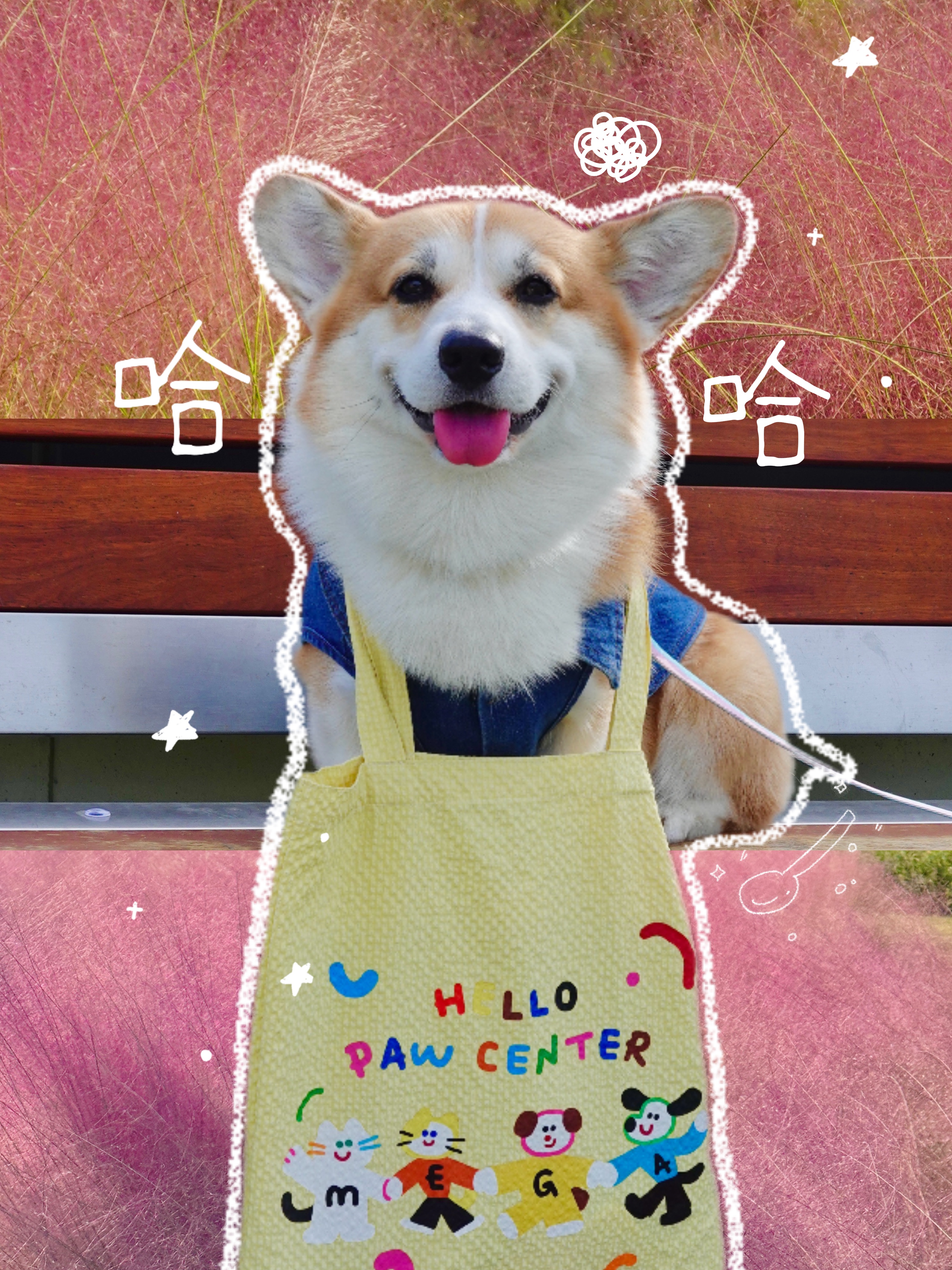 算了!和你们没有小狗的说不清楚!