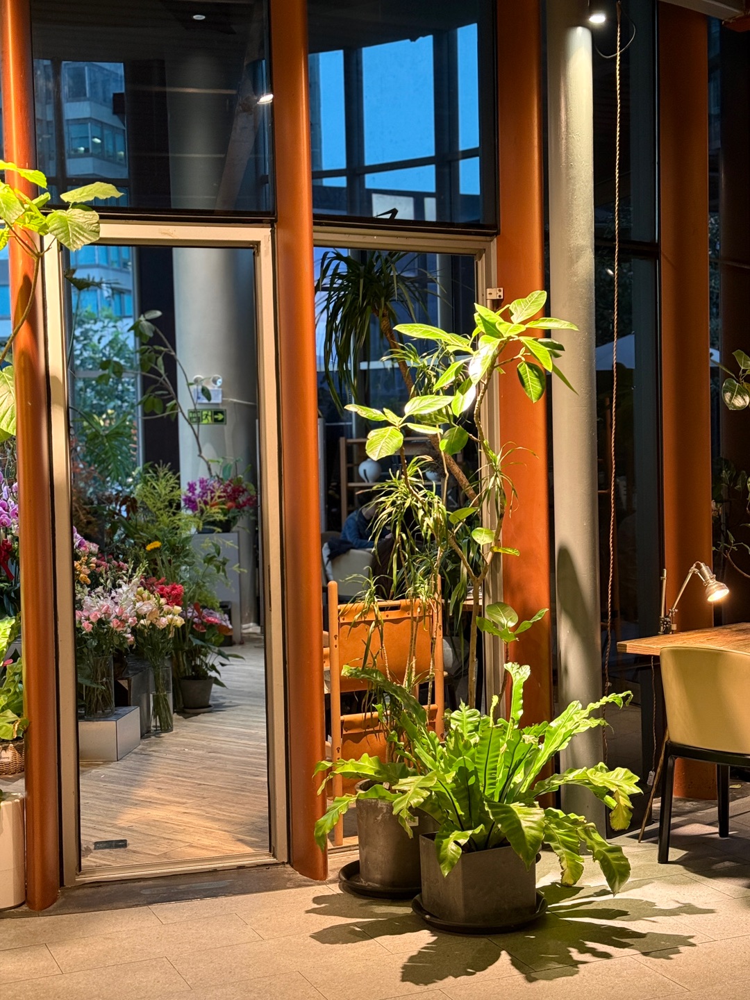 这座藏在市中心的玻璃花房,对宠物太友好了!🍃🐾