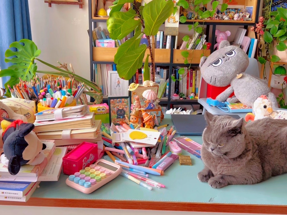 猫咪是天然的治愈师