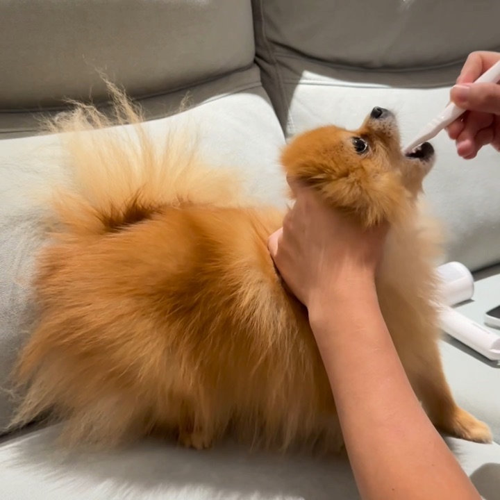 快来学,刷牙不正确教学