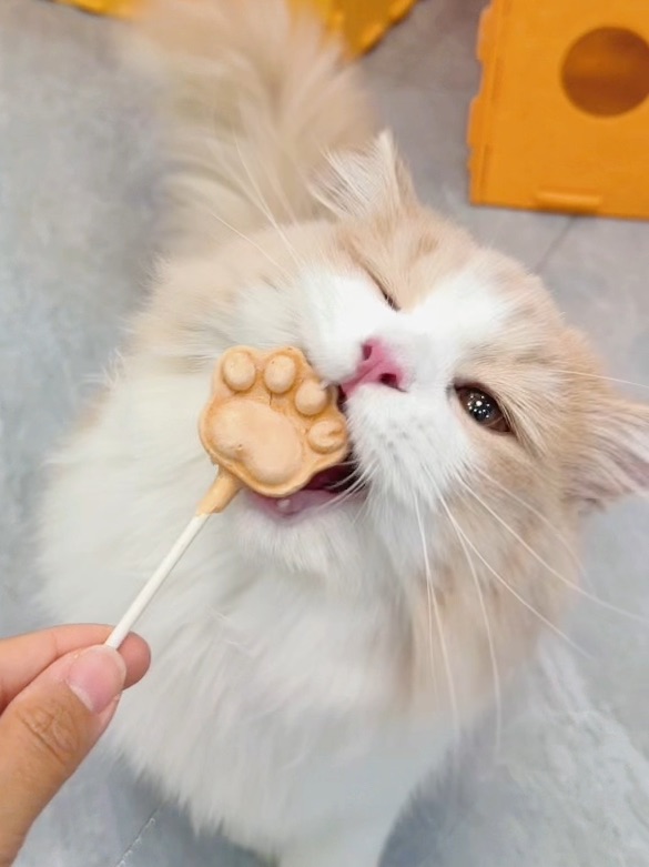 香香冻干快点来到我的嘴巴里