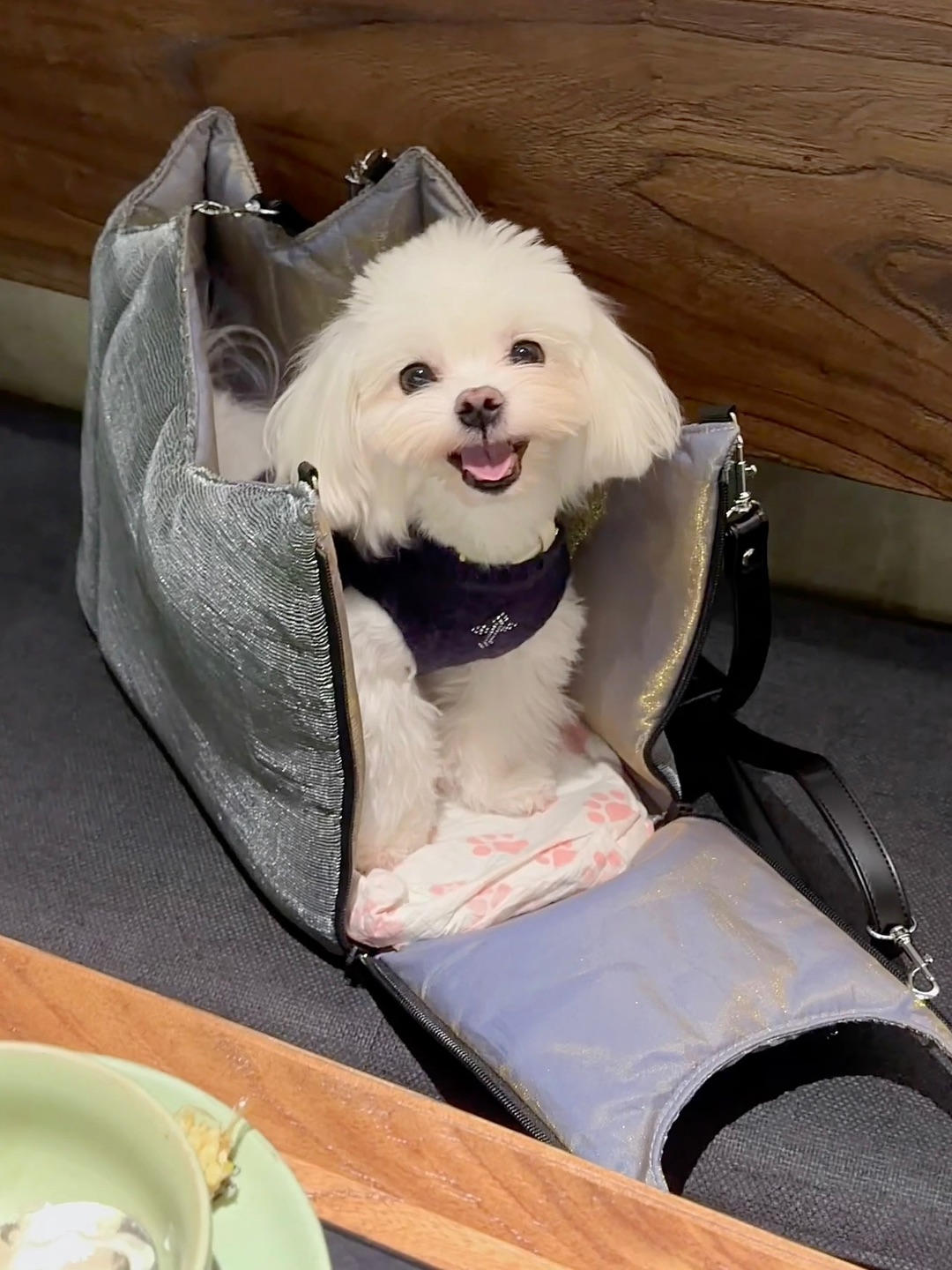 双色双面包包👜