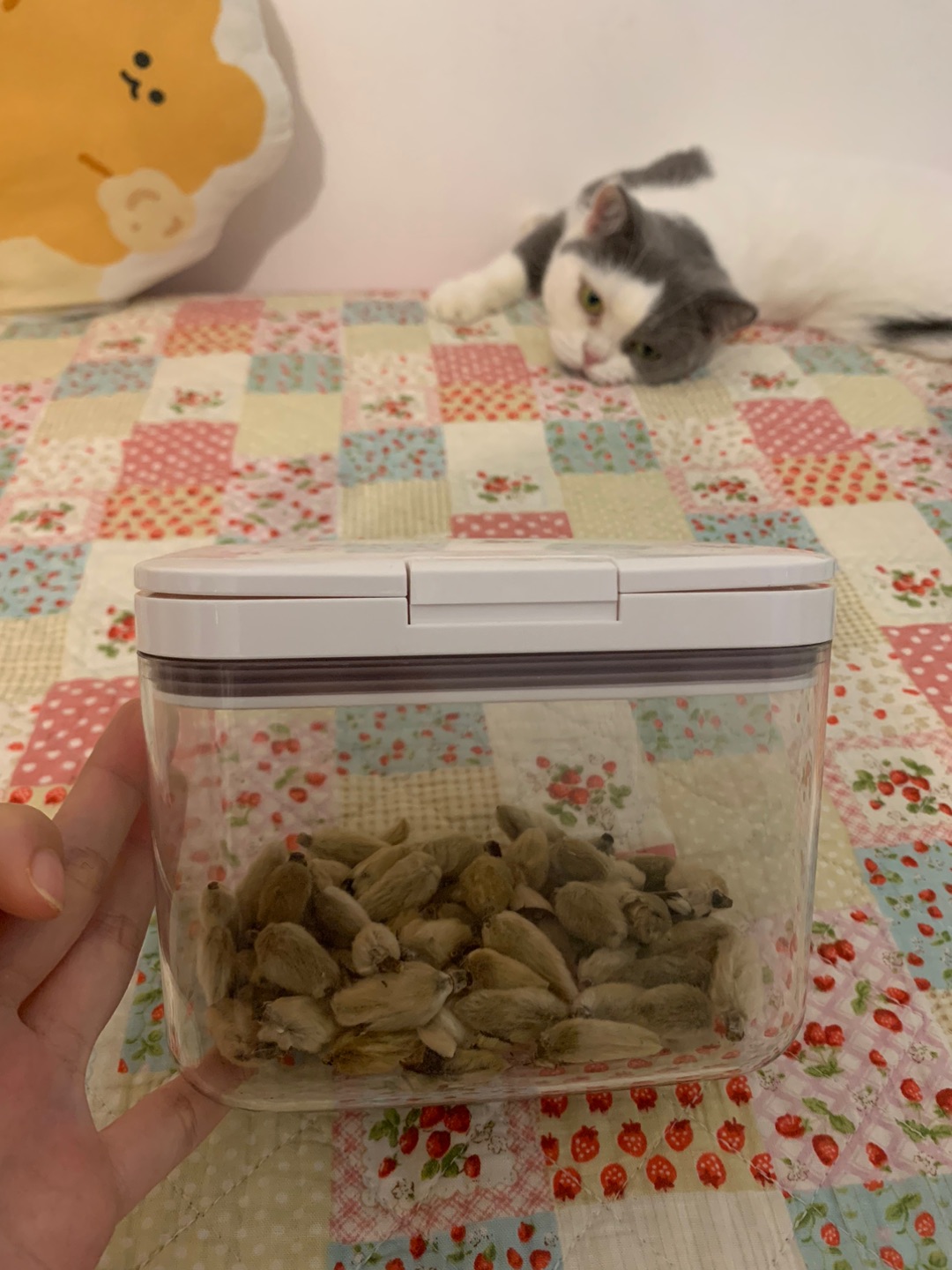 川岛屋储粮桶测评☘️