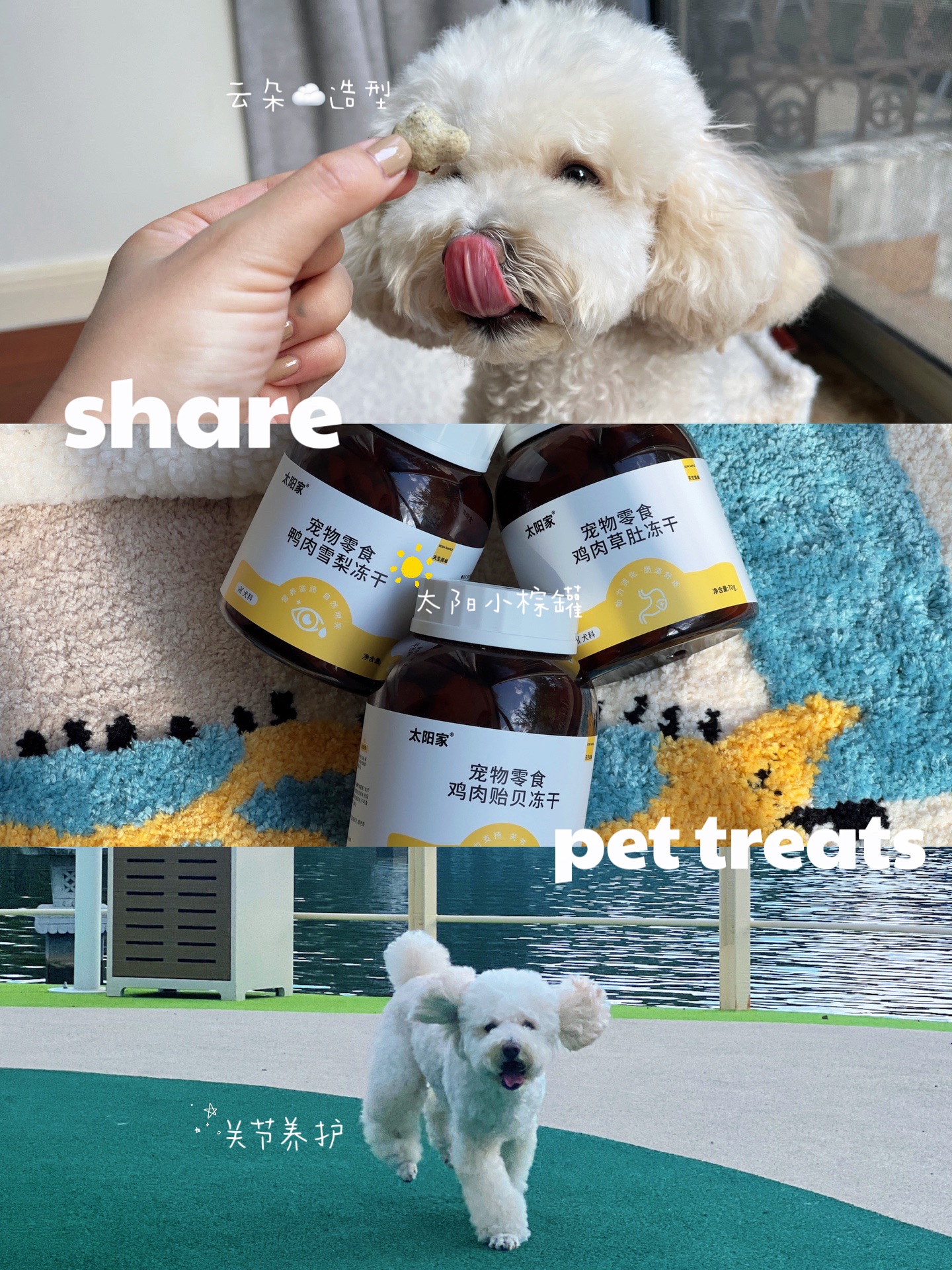 ☁️摘下云朵给你，想要全部给你