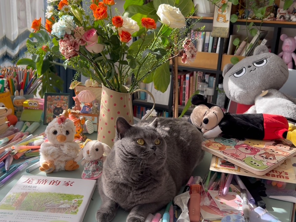 是猫打捞起破碎的我