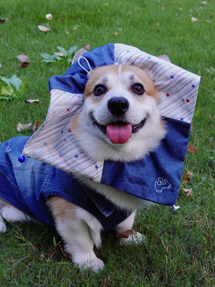 今晚马戏团有我的戏🎪