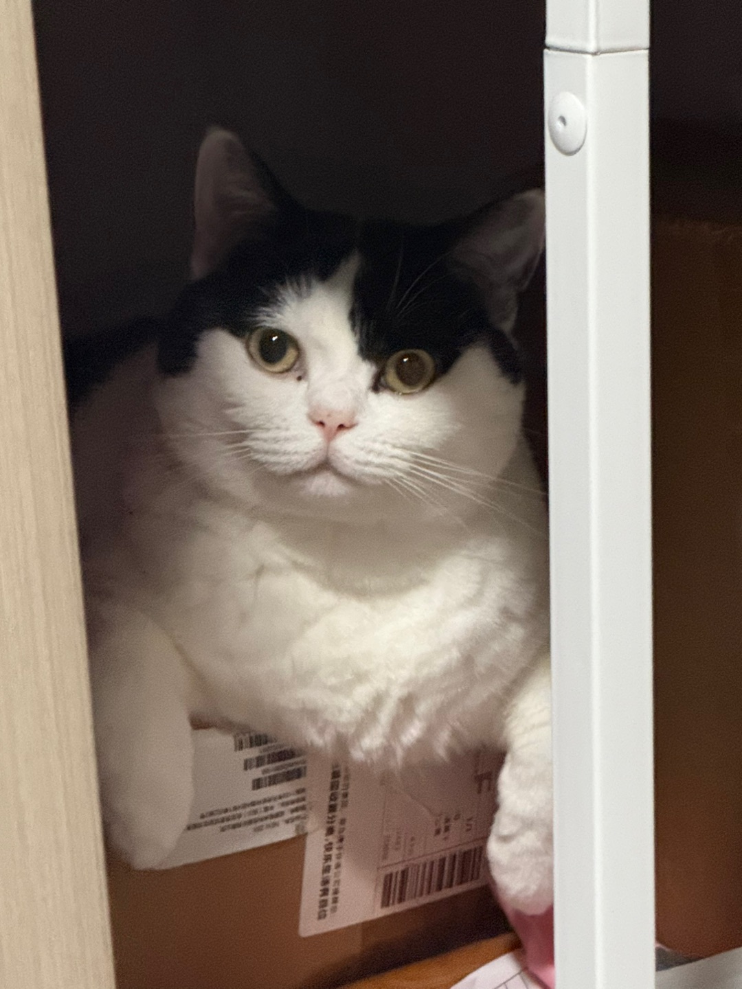 又发现个小角落