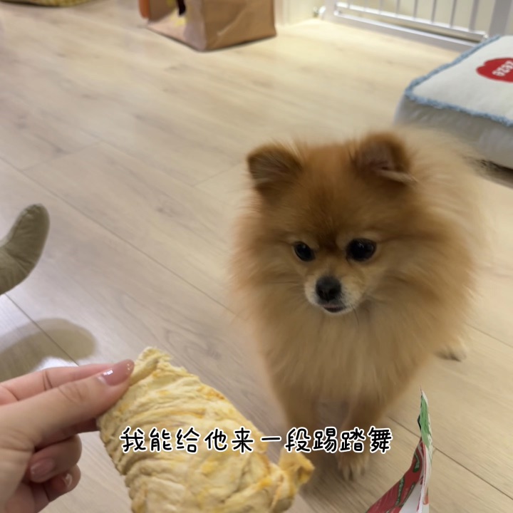 看到吃的就想来一段踢踏舞