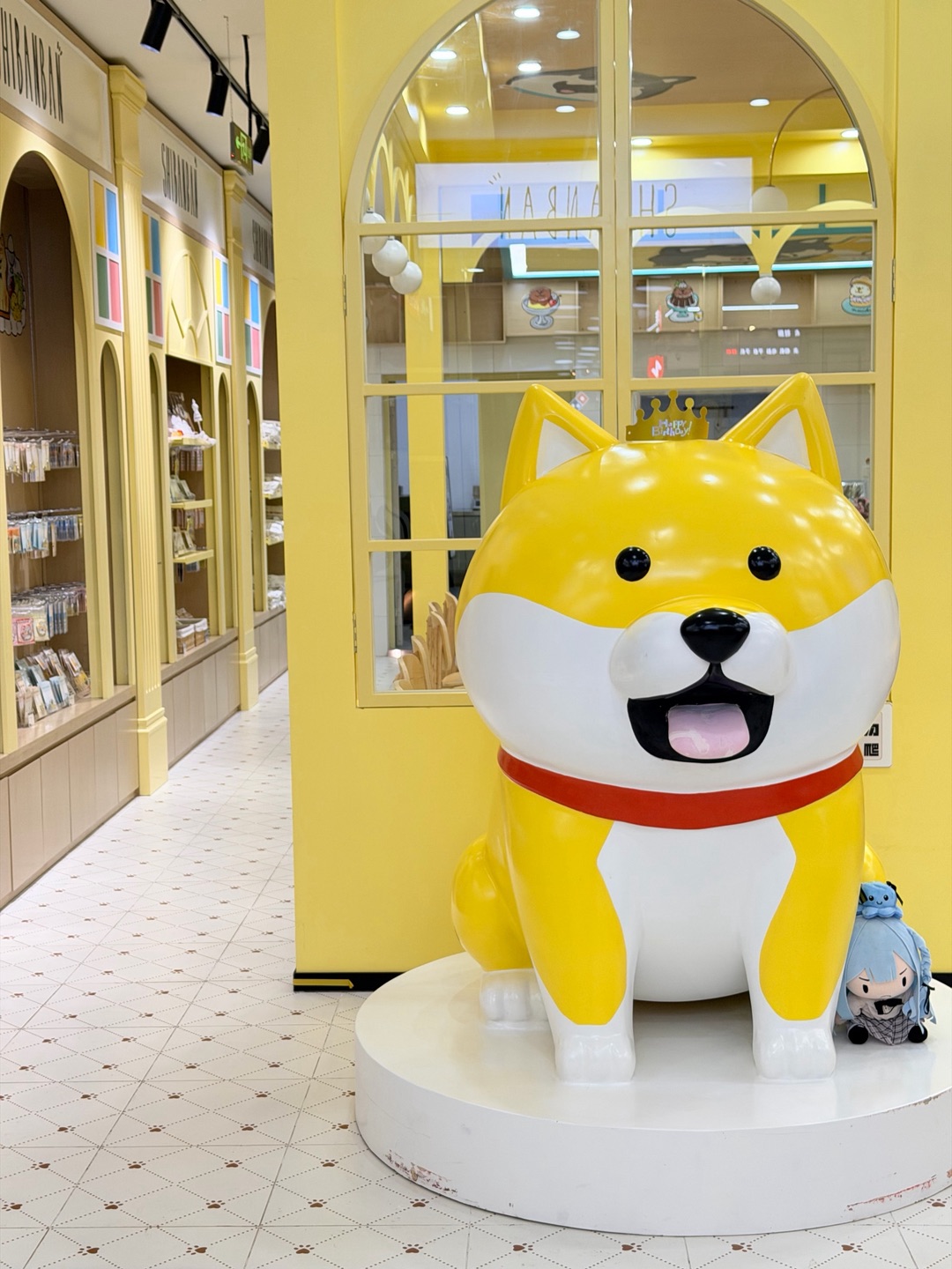 成都！柴犬主题店！真的好可爱